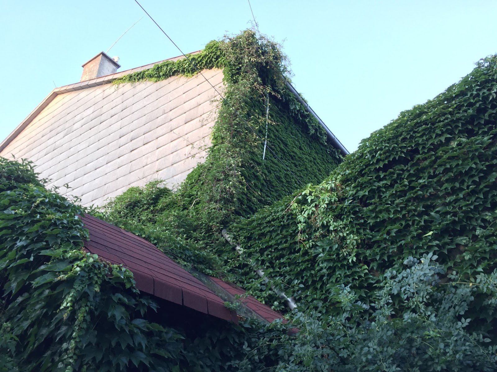 Grun Vor Gluck Unsere Mauer Summt Und Brummt Und Rieselt