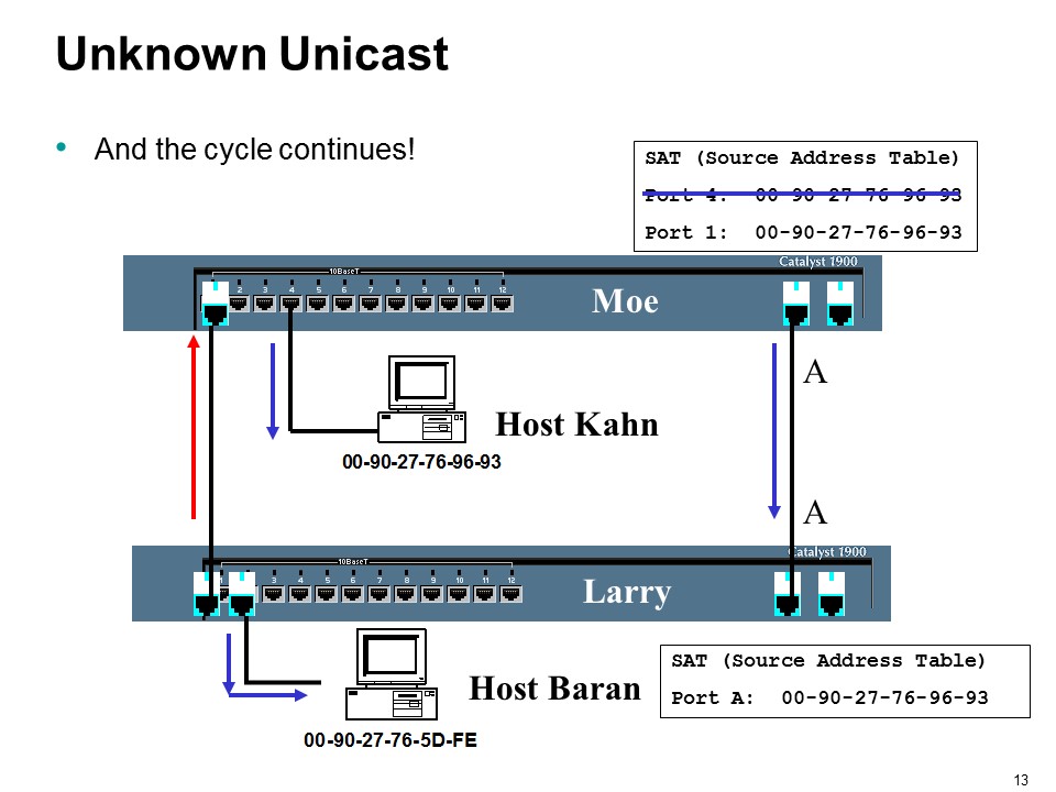 Networking And Scripting : Spanning Tree Protocol :PPT