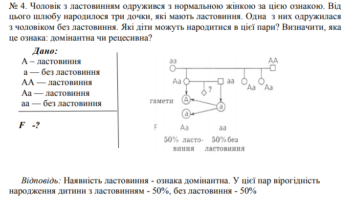 Как определить генотип родителей и потомства. Как определить генотип потомства. Наследование гемофилии. Запишите генотип гетерозиготного кареглазого мужчины. Карий цвет глаз рецессивный.