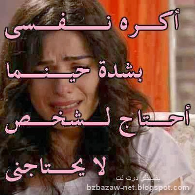 shof_77289a718437d2f