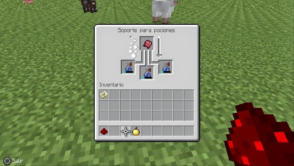 Como Convertir A Un Aldeano Zombie