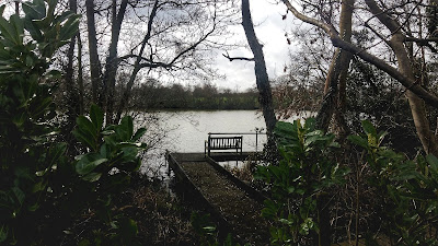 A private seat in the private grounds overlooking Antingham Ponds