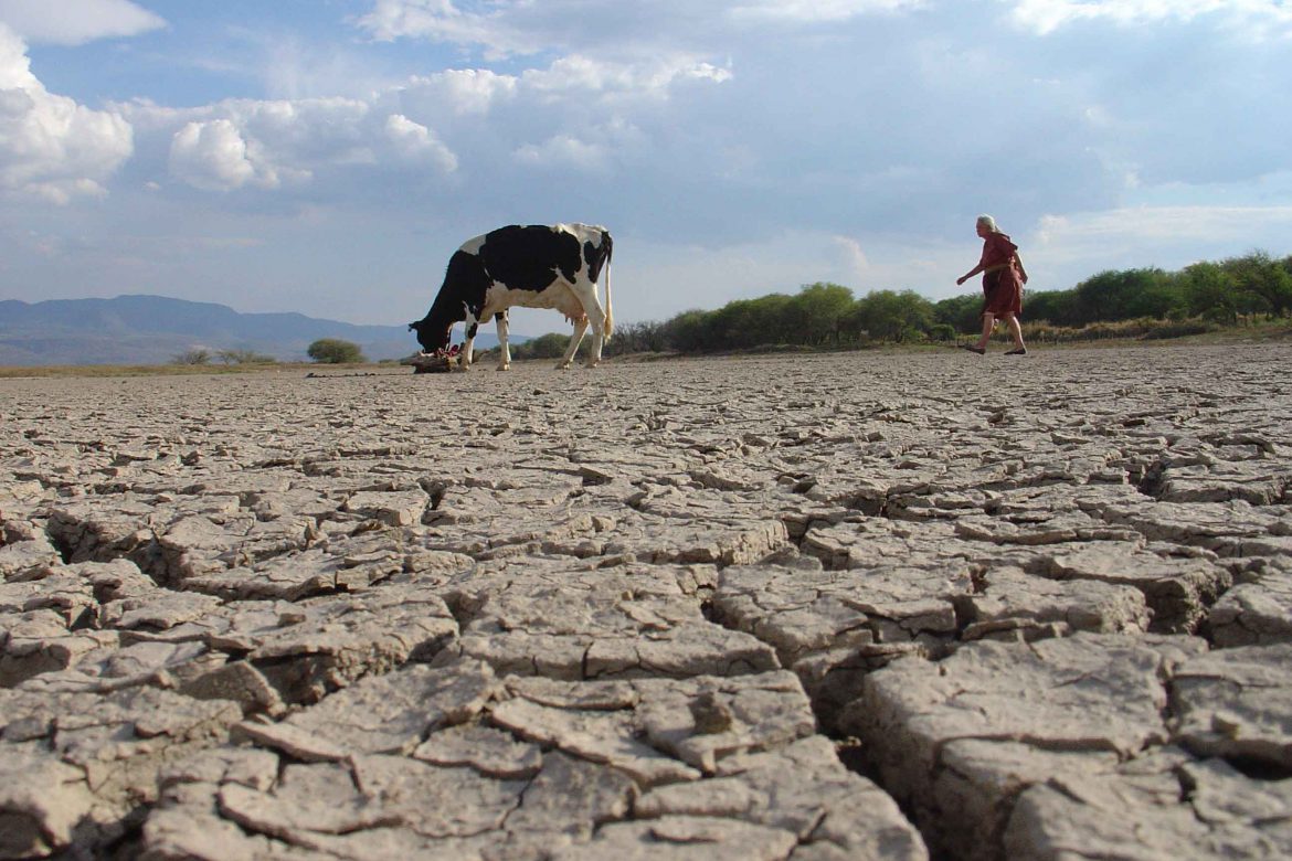 ¿Que consecuencias tiene la Sequía?