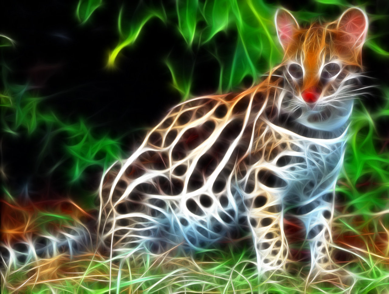 Free Wallpapers Blog: ocelot backgrounds