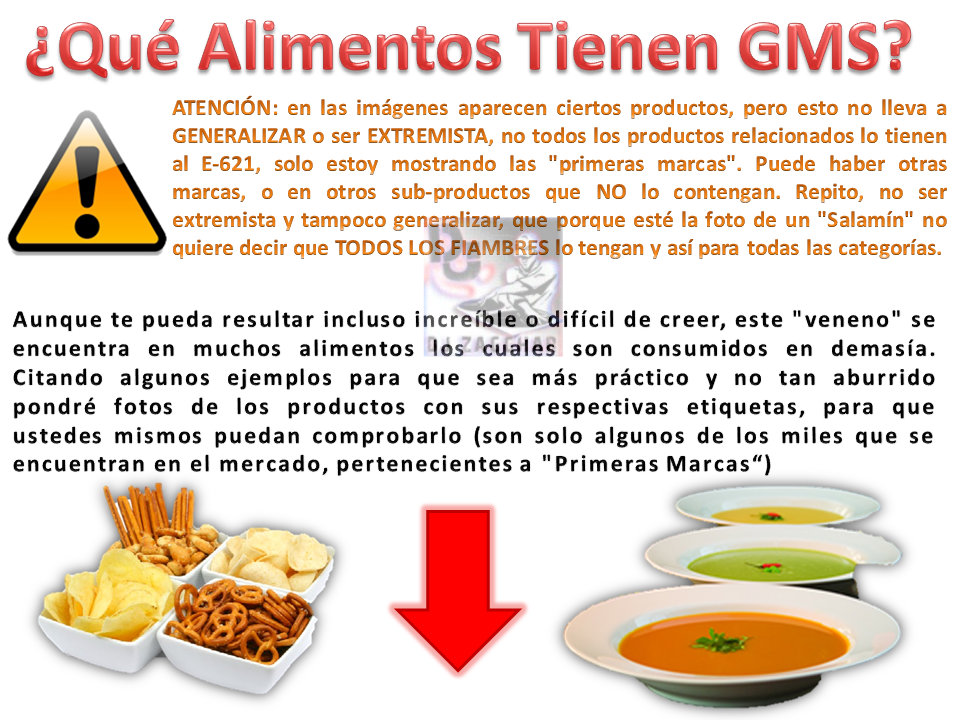 que es glutamato monosodico