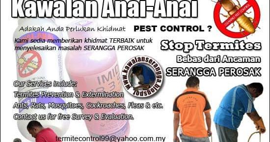 Kawalan Serangga Kawal Anai Anai Segera Lokasi Taman Setia Indah Johor Bahru