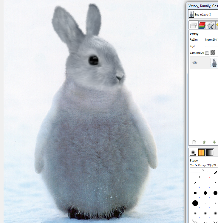 Počítačová grafika: Animal morph v Gimpu