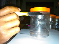 Sering Disepelekan Padahal Bisa Bikin Kaya, Begini Cara Ternak Kroto di Toples Simpel dan Mudah Diikuti