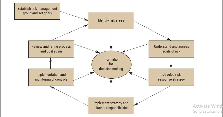 what are the financial risk management