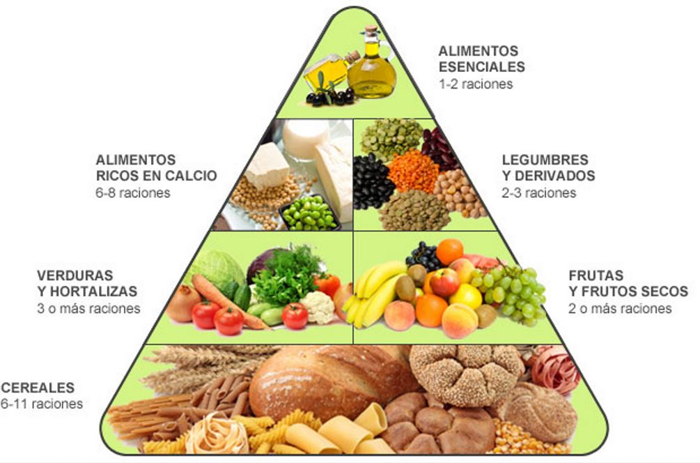 Terapia neural para bajar de peso: Régimen alimenticio