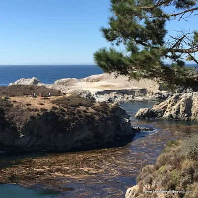 Point Lobos State Natural Reserve in Carmel, California
