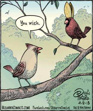 Real+Cardinal.gif