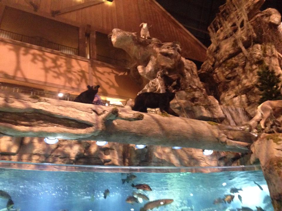 Born And Raised In The South..., Memphis Bass Pro Shop In The Pyramid