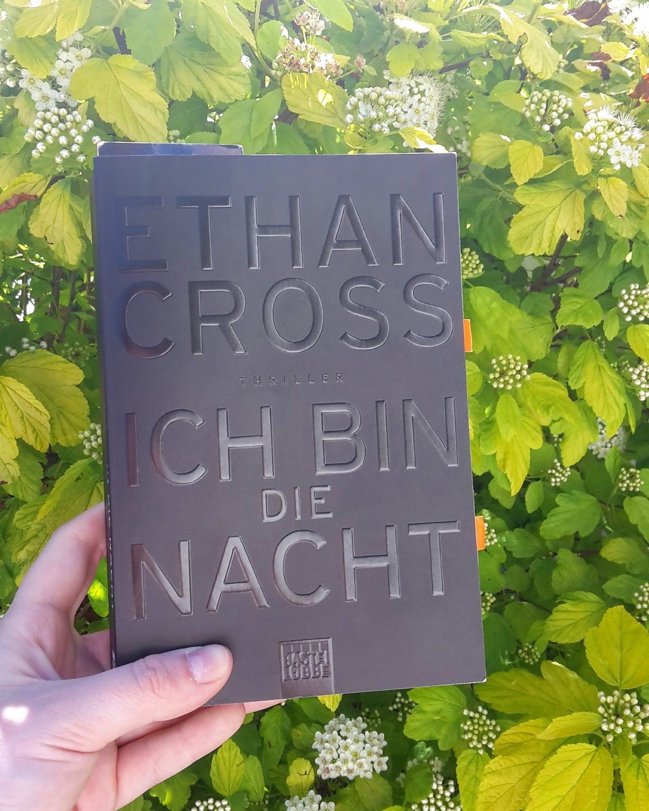 Der Bücherwald Rezension 