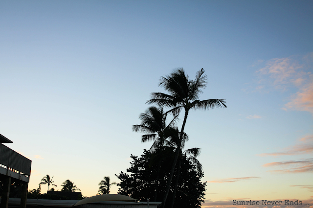 haleiwa,hawaii,north shore,oahu,paradise,a beachy life,surf,surf culture,beach life, beach girl