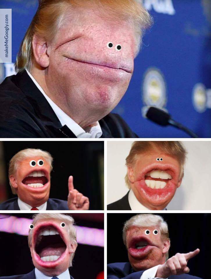 Hilarious images daily March 2016