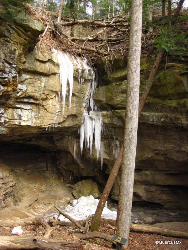 Lost Hikers Turkey Run State Park Una fría excursión