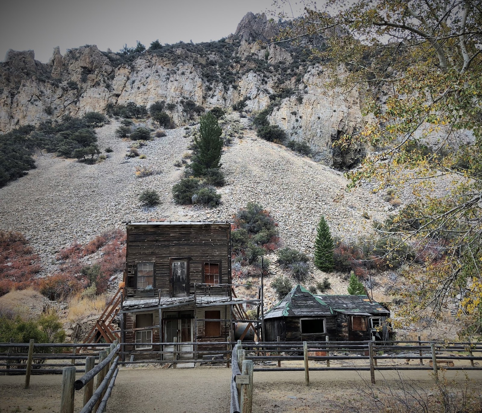 Down the Road Bayhorse Ghost Town, Idaho
