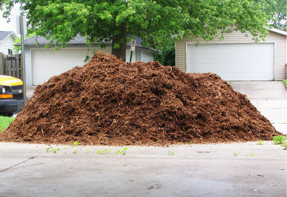 Penn State Extension More about mulch than you thought there was to know!