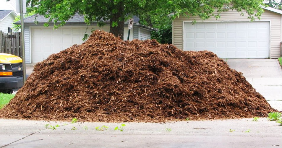 Penn State Extension More about mulch than you thought there was to know!