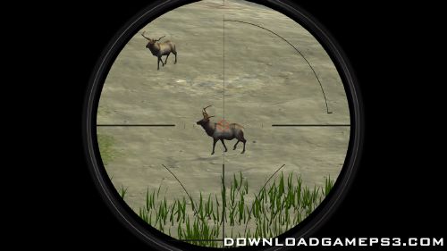 Deer Hunter Reloaded   Download game PS3 PS4 PS2 RPCS3 PC free - 3