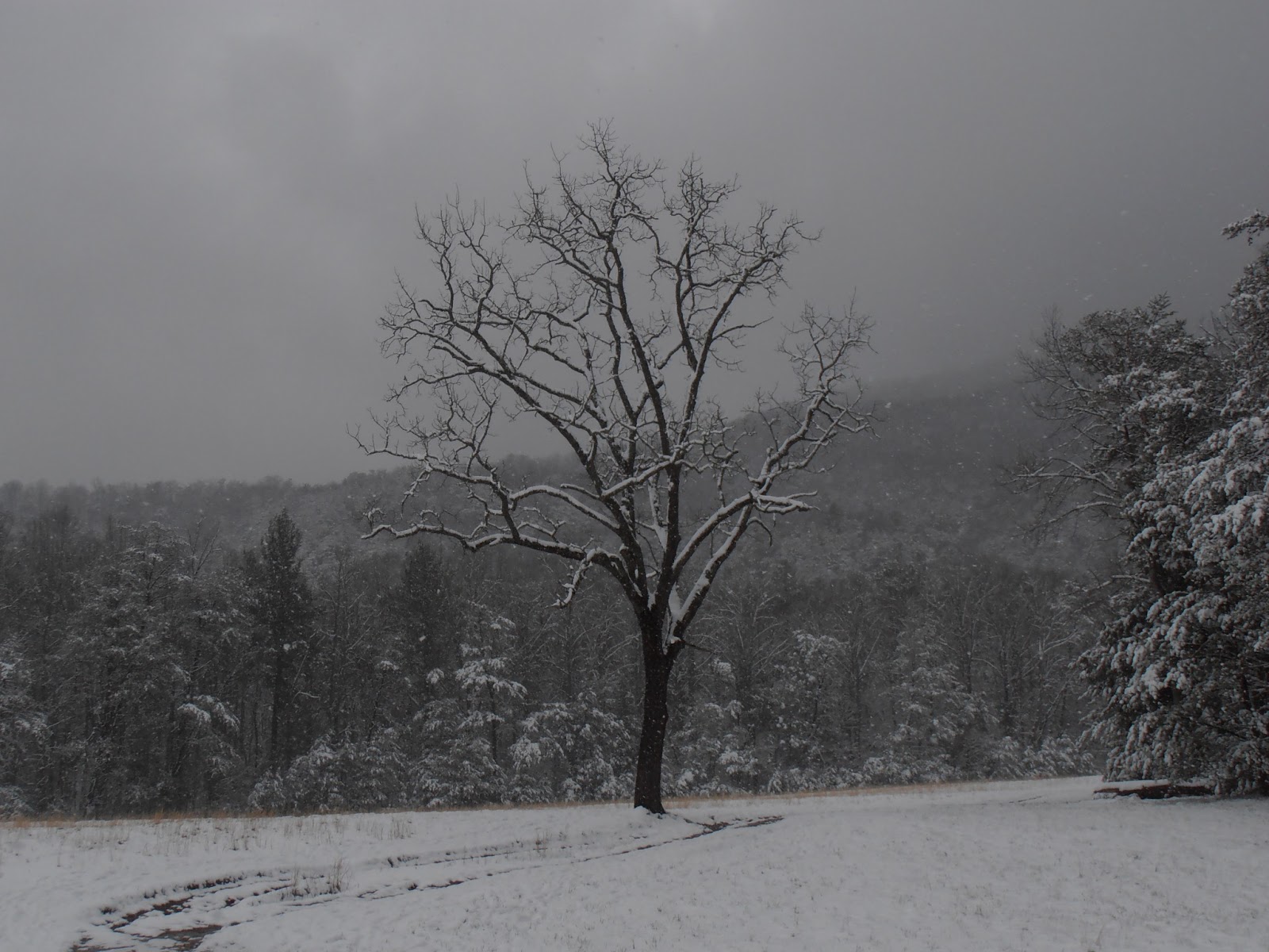 American Travel Journal Snow in Cades Cove Great Smoky Mountains