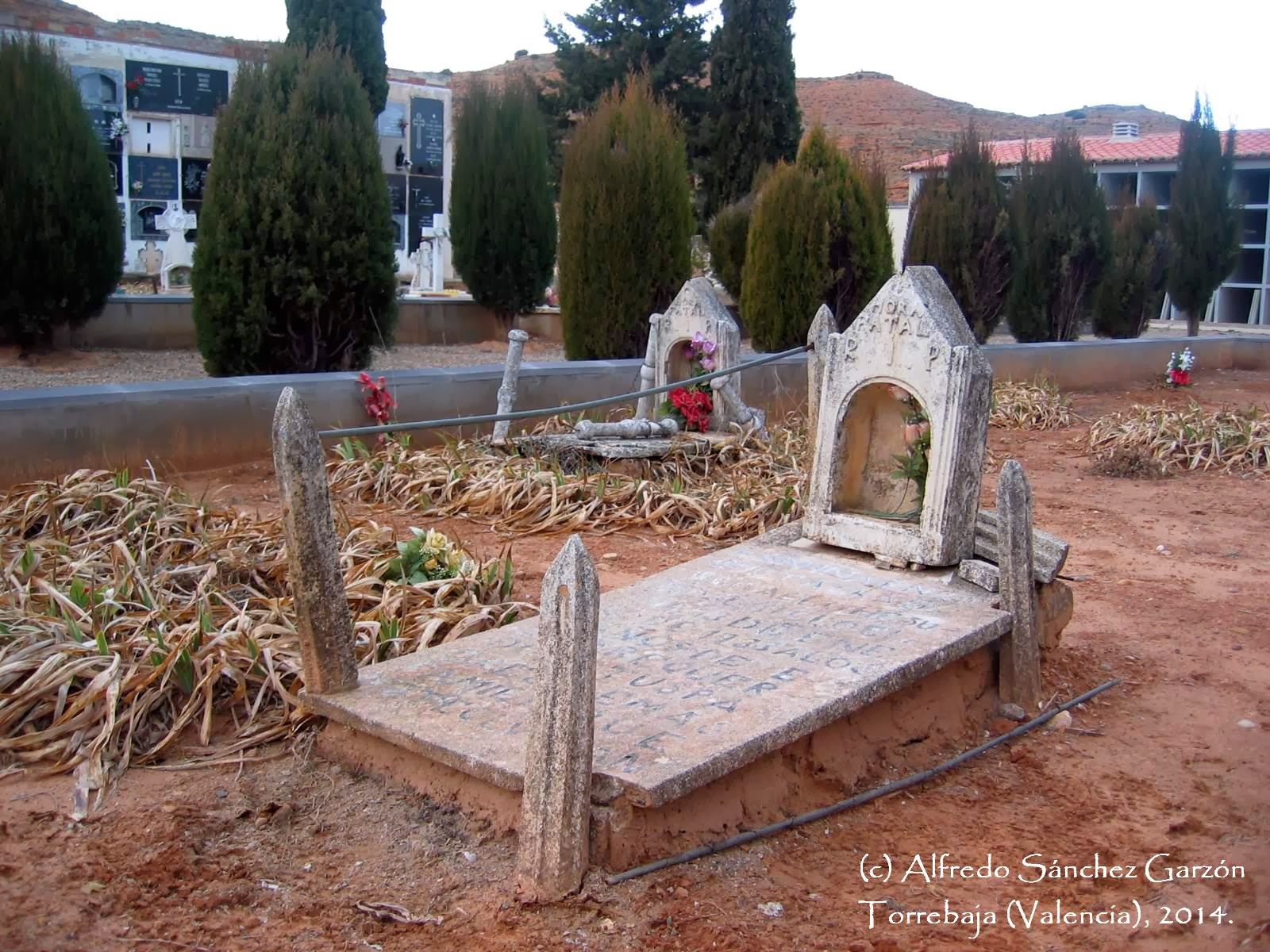 DESDE EL RINCÓN DE ADEMUZ ESTUDIO DE LAS CAUSAS DE MUERTE EN TORREBAJA DURANTE TRES PERIODOS