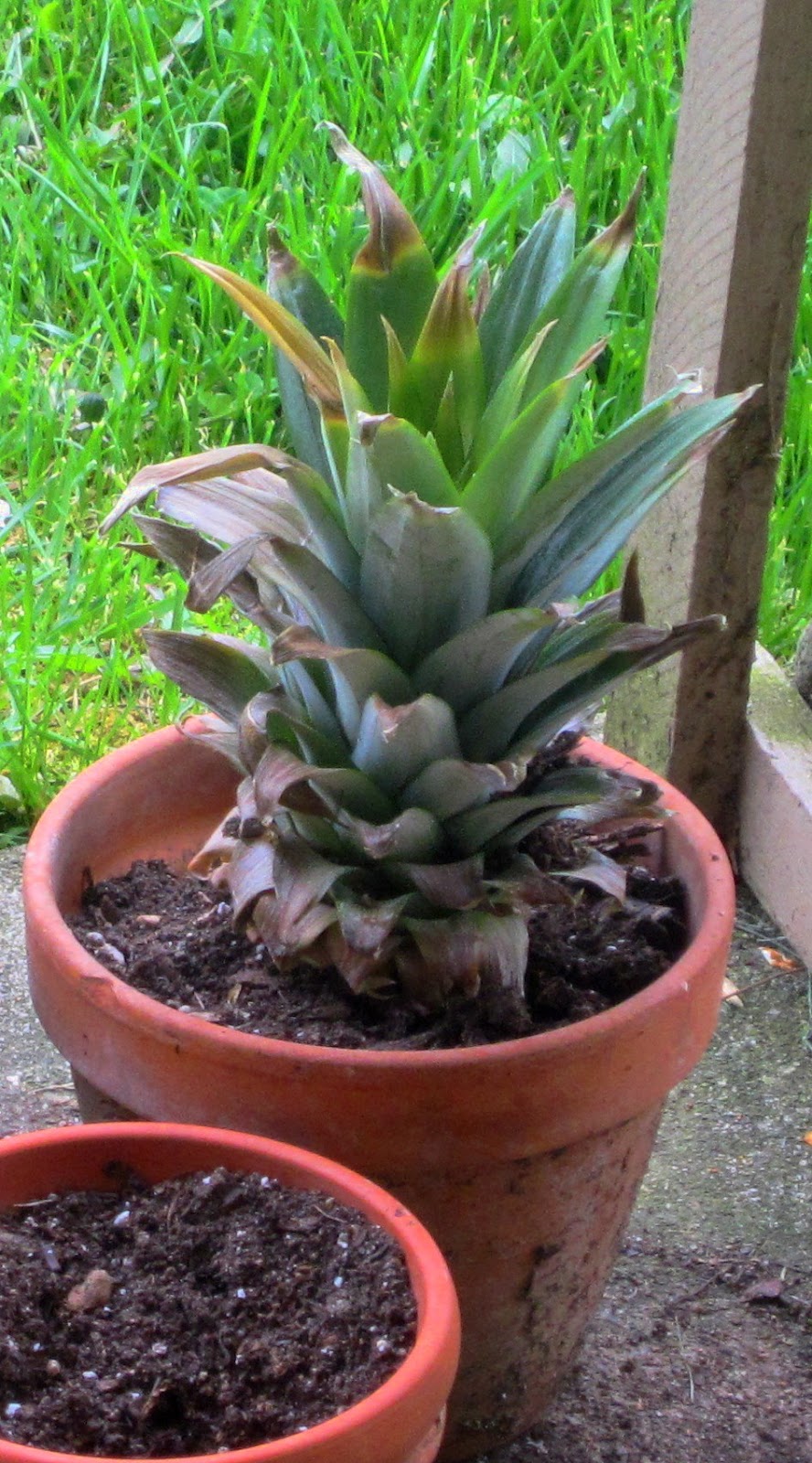 My Morning Cup Cuisine&hellip;Facial&hellip;Drink Container