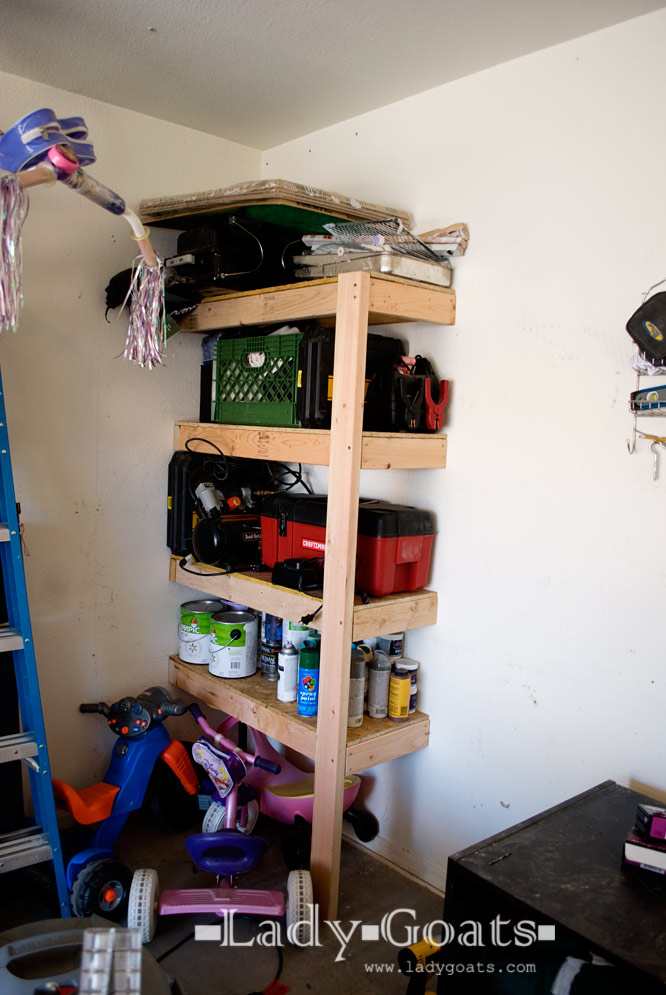 Lady Goats: Operation Organize Garage: One Small Shelf for Garage...