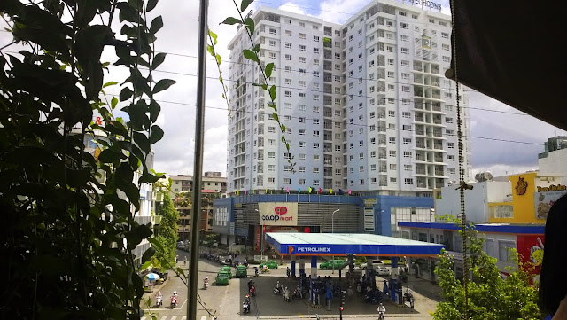 Giải pháp trông cây xanh chống nắng cho nhà phố Giải pháp trông cây xanh chống nắng cho nhà phố