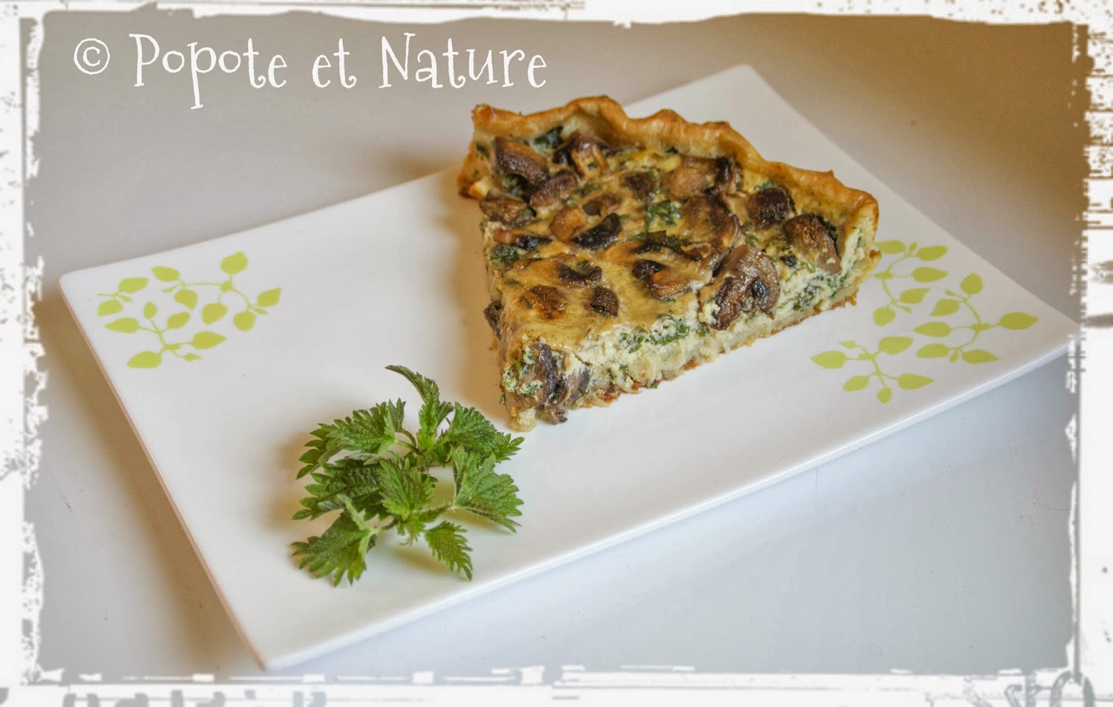 © Popote et Nature - Quiche aux orties et aux champignons de Paris