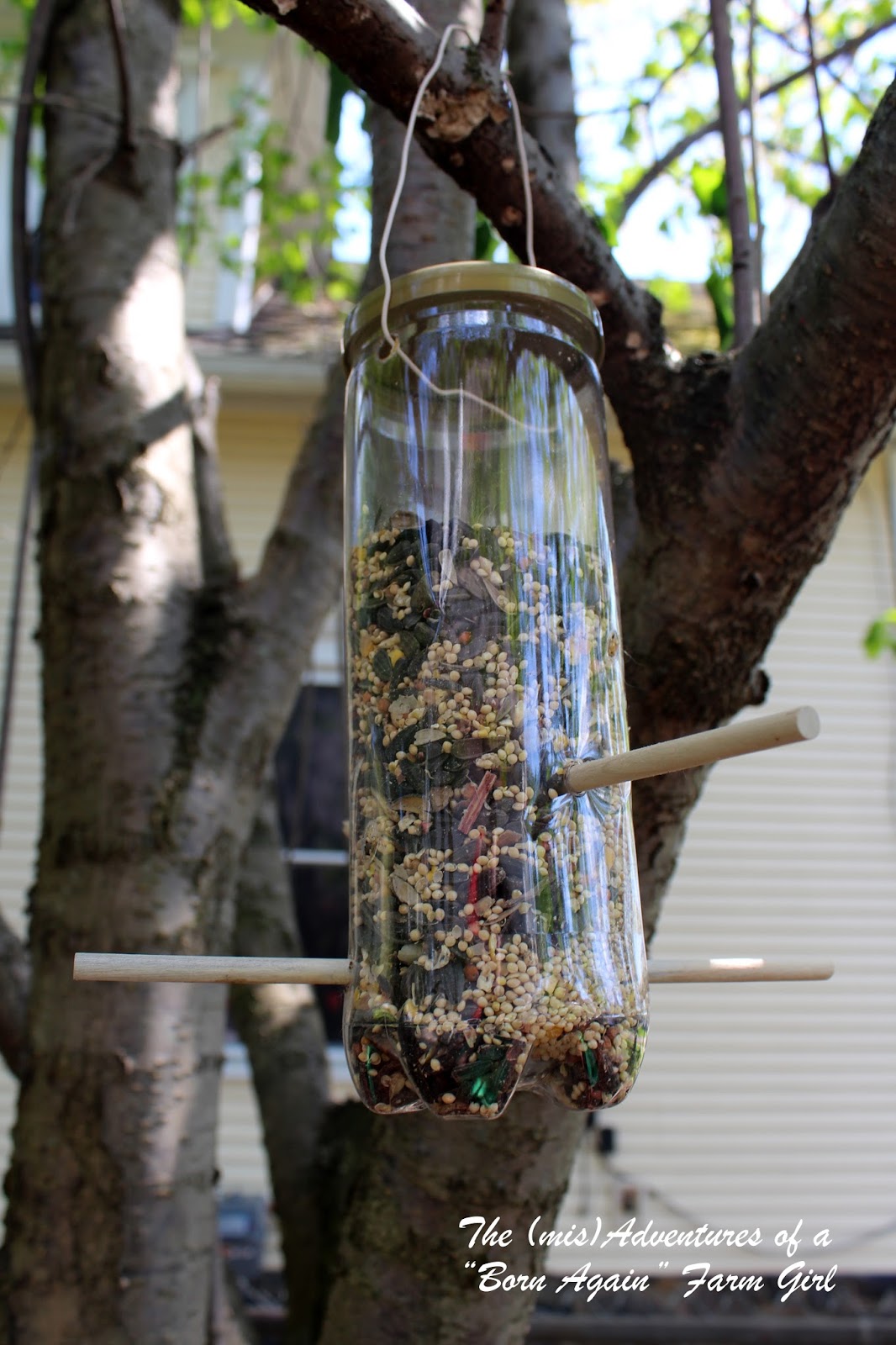 DIY Upcycled Bird Feeder The (mis)Adventures of a Homesteadin' Mama