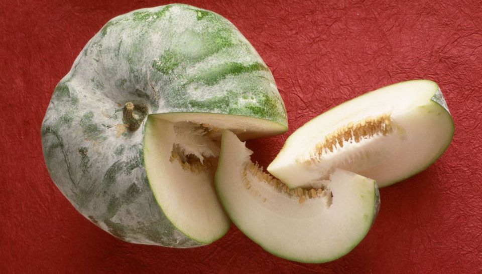 Scientific Name of Ash Gourd,Winter Melon Petha ka vaigyanik name