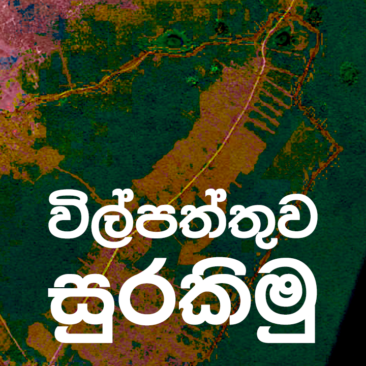 paththu.png