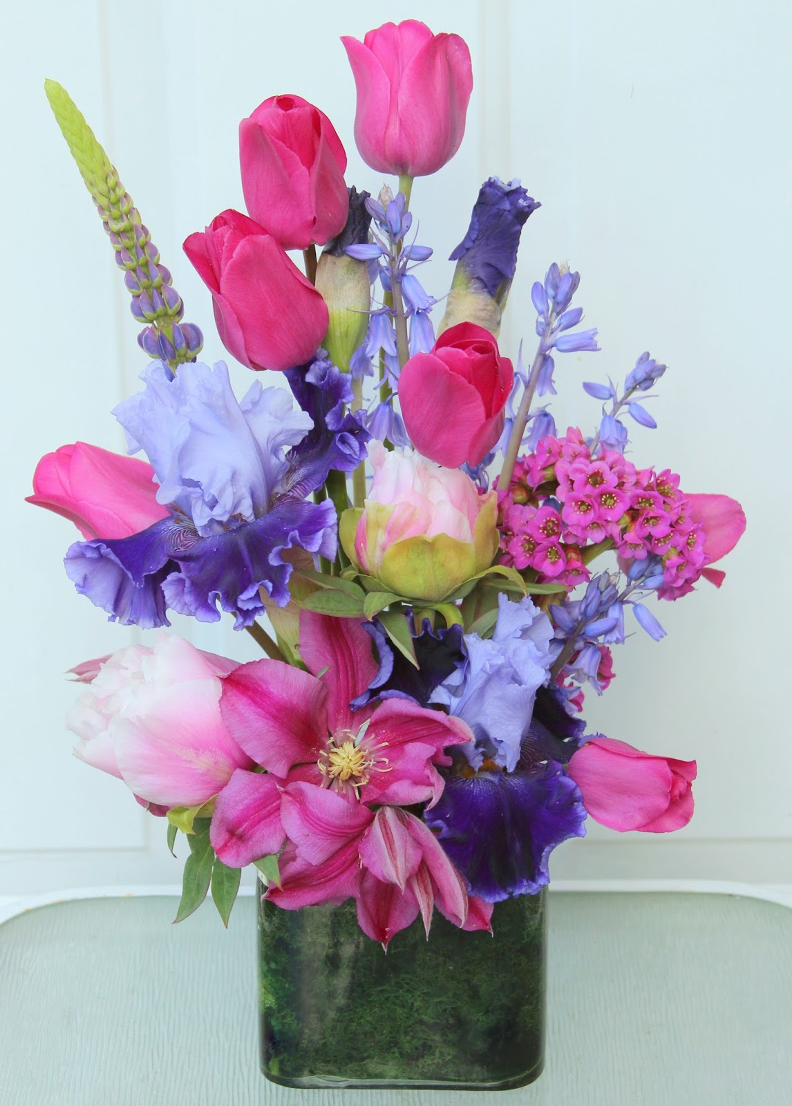 World of Irises "Talking Irises" DISPLAYING IRISES Using a variety of