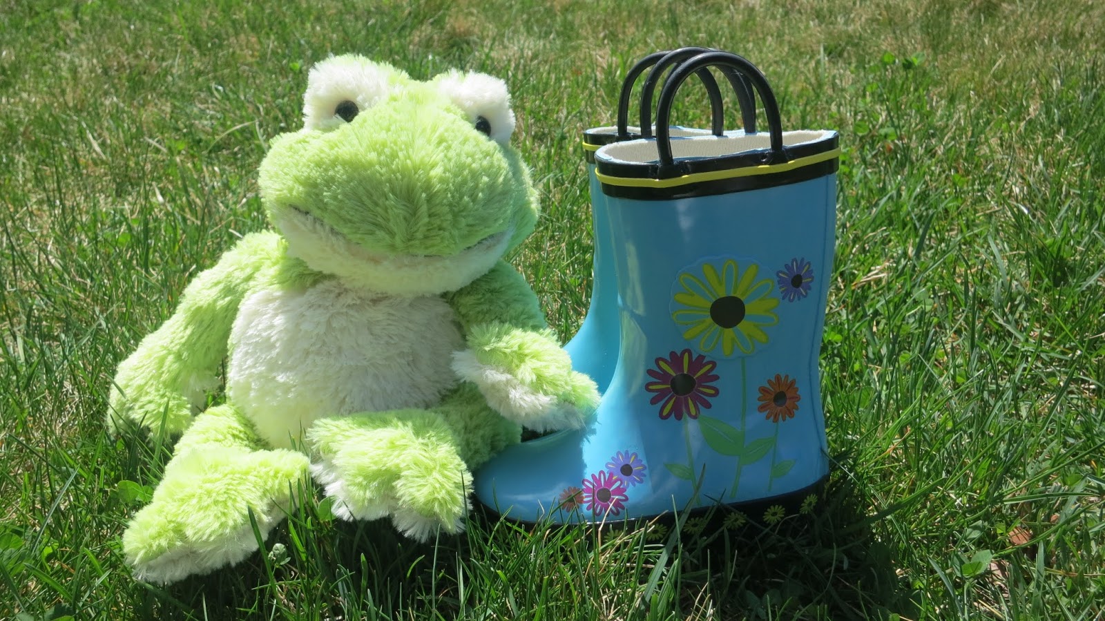Whom You Know: Warmies® Cozy Plush Frog Highly Recommended by Whom