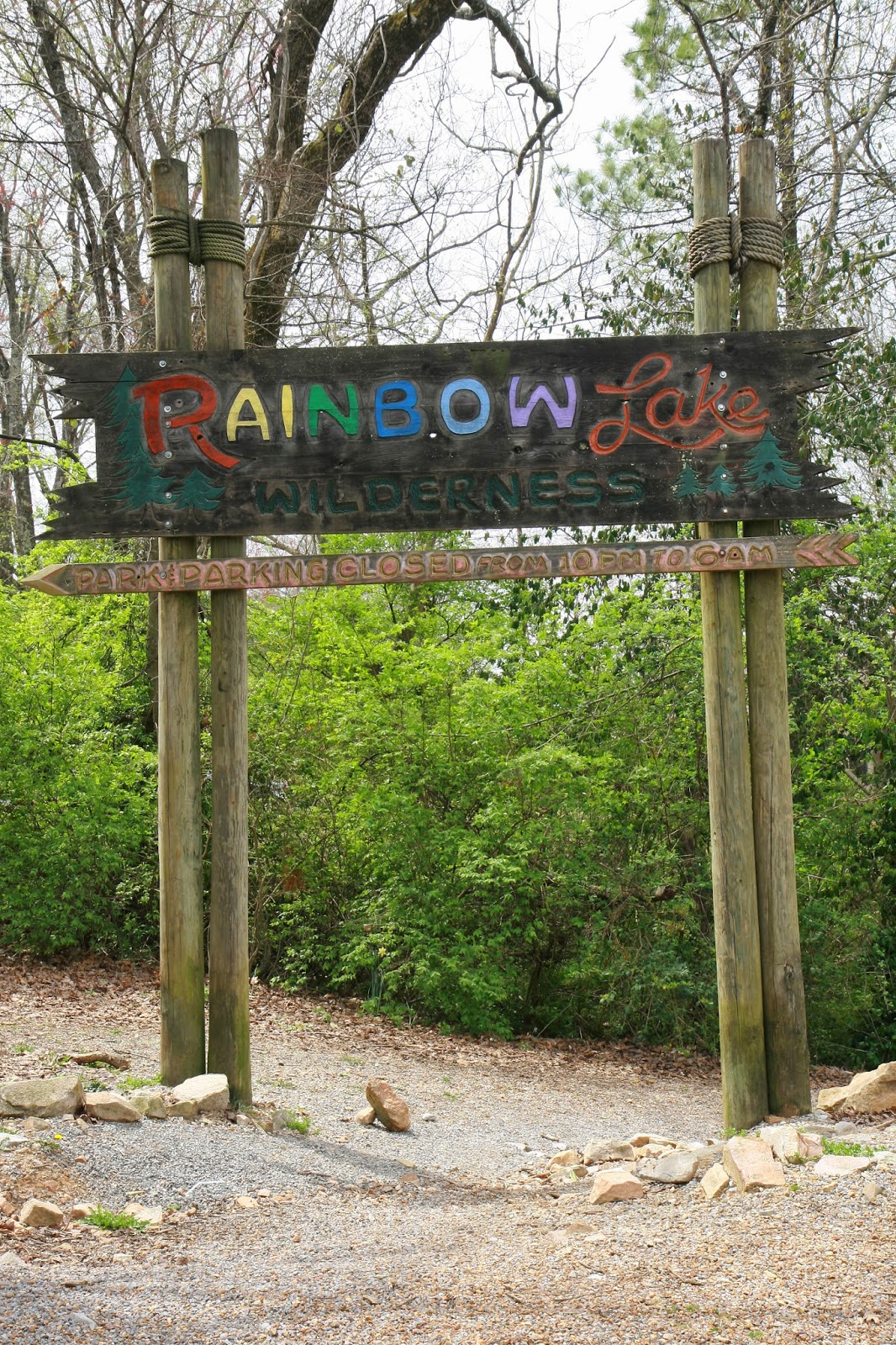 The Cone Zone Camp Asher Birthday Bash!