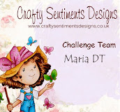 Crafty Sentiment Designer Challenge