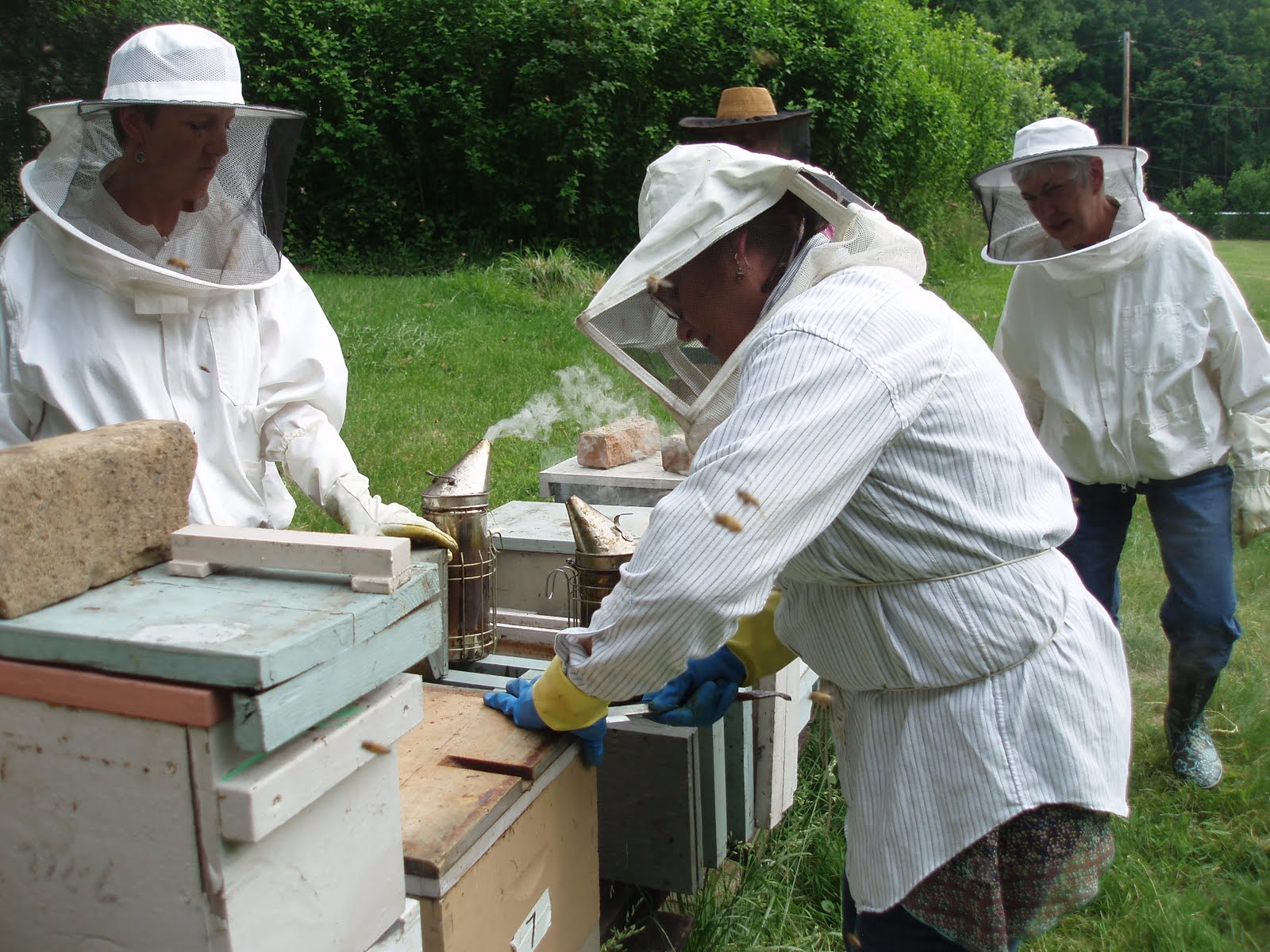 SteffesWood Apiary Aliquippa, PA Women Beekeepers Potluck!