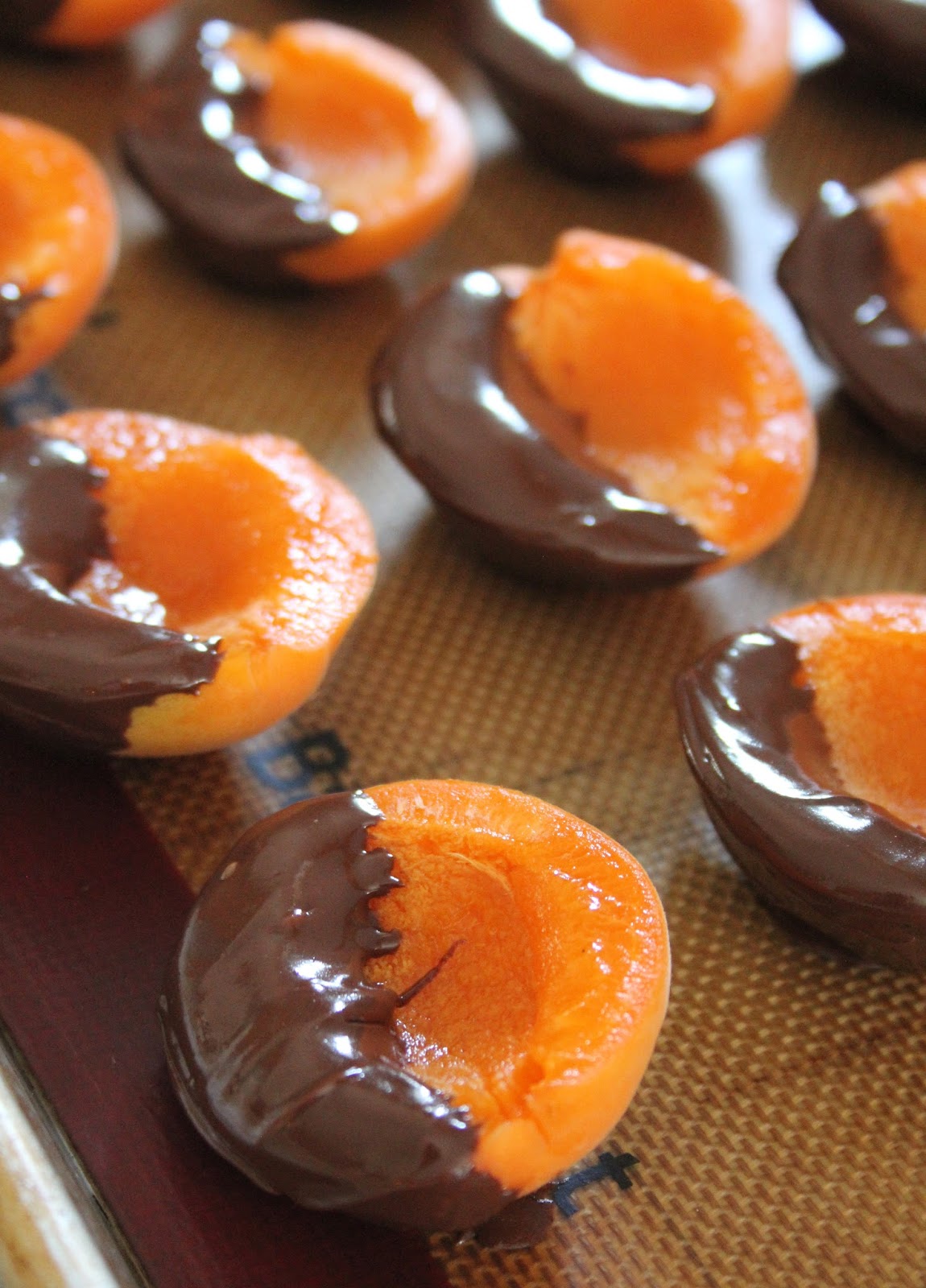 Jo and Sue Apricot Cheesecake Bites