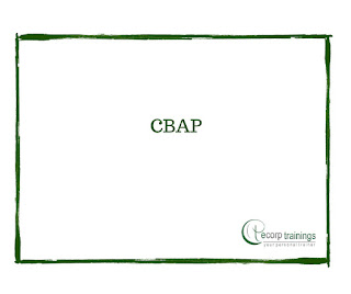 CBAP training