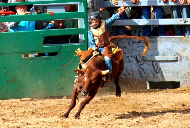 Travelling Around Australia: Mareeba to Cooktown