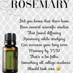 doTerra Featuring Rosemary and the Benefits of Essential Oil Products. CLICK Pic for Catalog