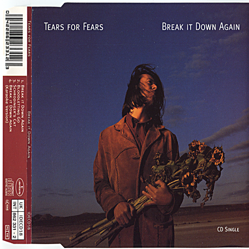Tears For Fears Break It Down Again ('93 GER CDS)