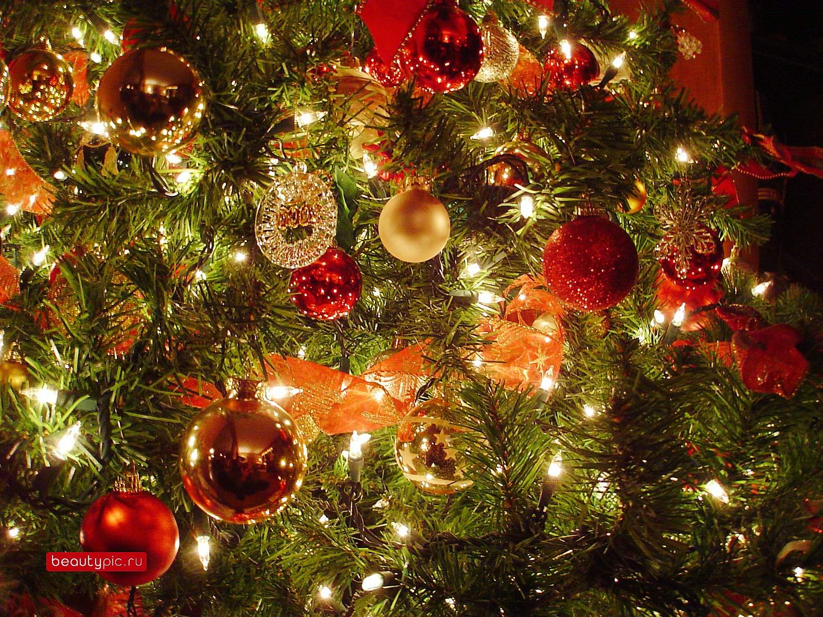 Is Christmas Different Now Or Is It Just Me? | Wallpapers, Photos
