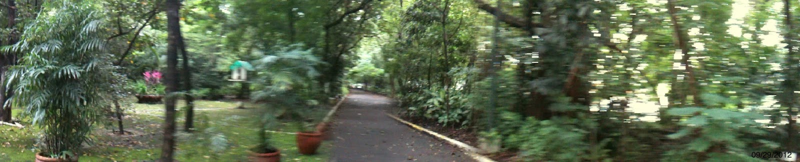 Arroceros forest park thesis 06 picture