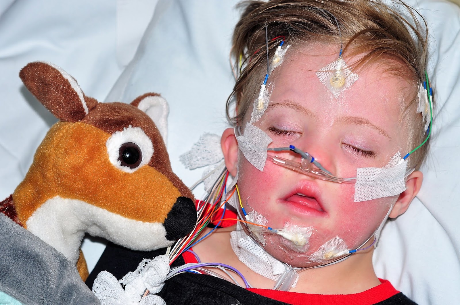 Our Five Ring Circus Sleep Studies 101 The Complete Guide To Your