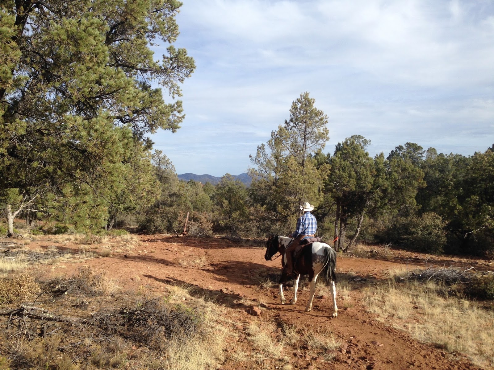 Camping and Horses PAYSON ARIZONA HOUSTON MESA HORSE CAMP