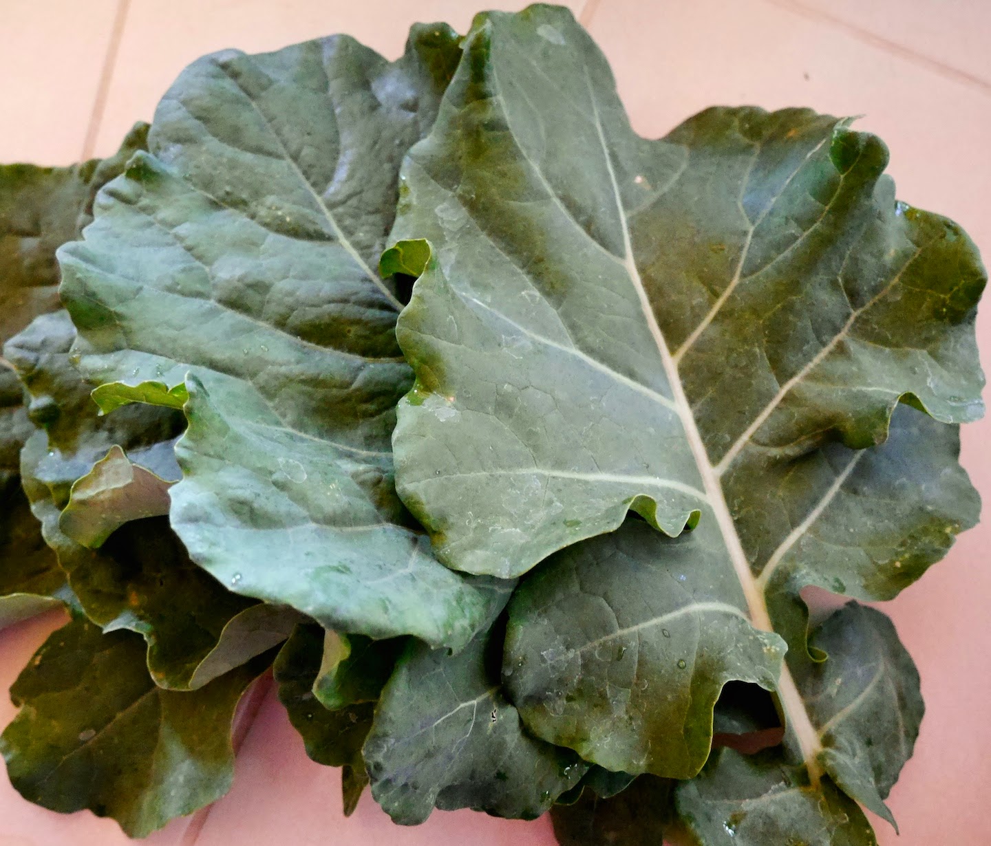 Foods For Long Life Don't Throw Away Garden Broccoli LeavesThey Are