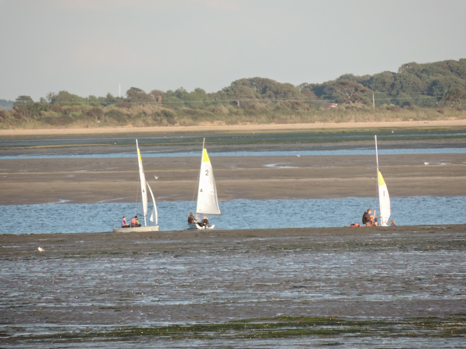 hayling island billy line course of old railway across mud flats